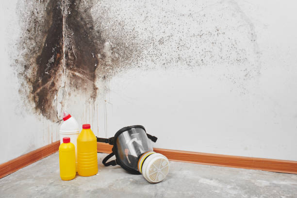 Reliable Goodland, KS Mold Removal Solutions