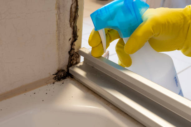 Best Toxic Mold Removal  in Goodland, KS
