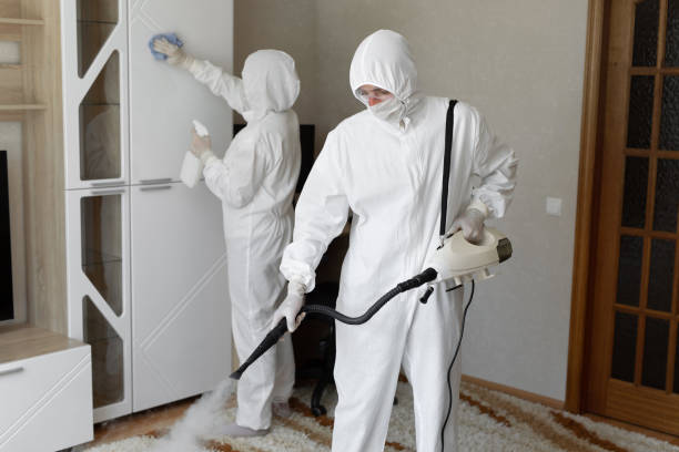 Certified Mold Removal in Goodland, KS