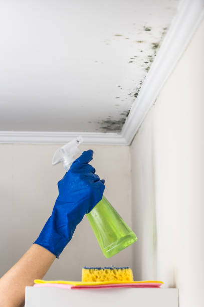 Crawl Space Mold Removal in Goodland, KS